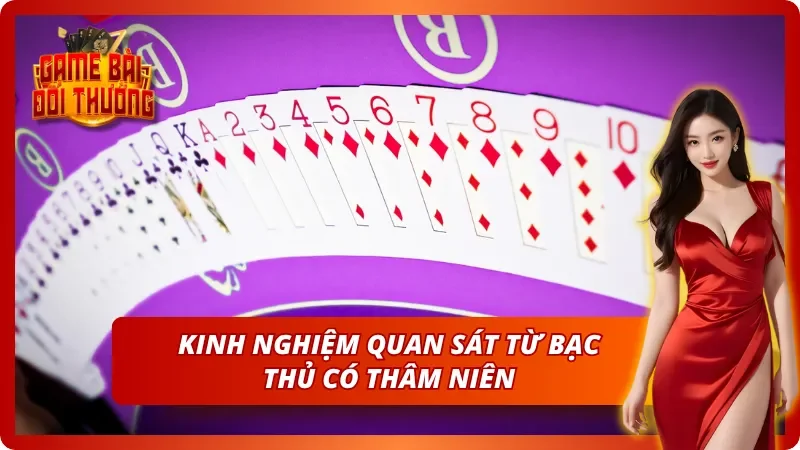 Bí quyết soi bài từ người chơi tiến lên gạo cội